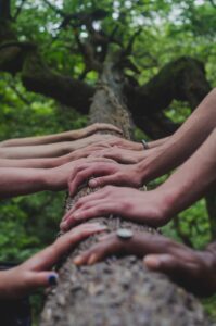 photograph of many arms reaching to lay hands on a large tree branch